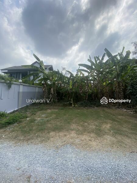 ที่ดินพระราม 5, Nonthaburi