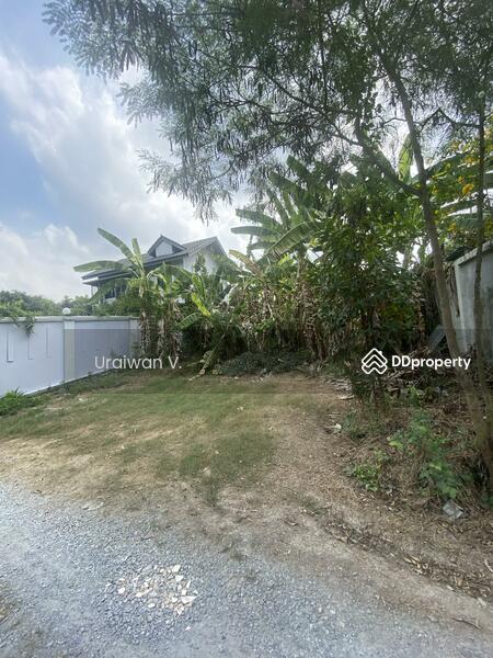 ที่ดินพระราม 5, Nonthaburi