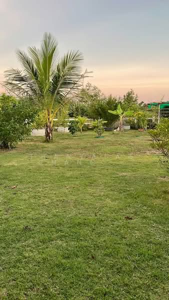 undefined, Prachuap Khiri Khan