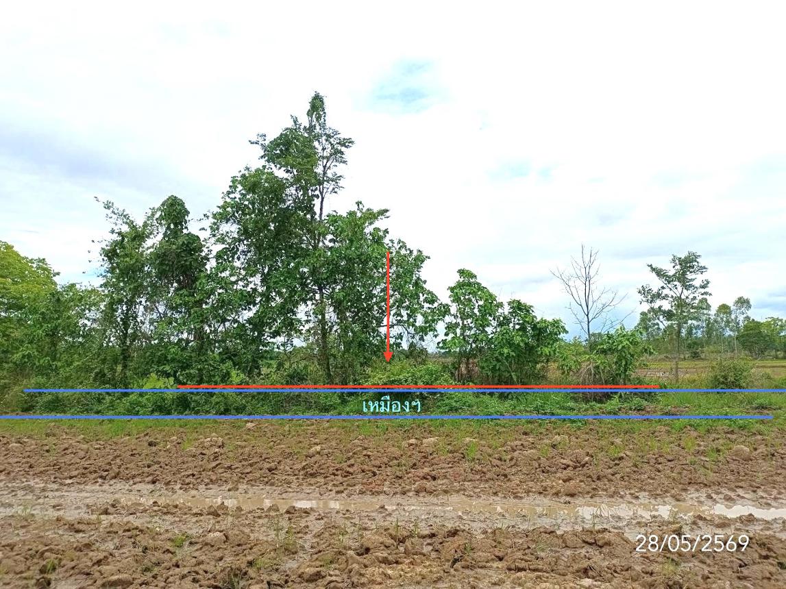 Vacant Land for Sale in Phayao, Phayao Province