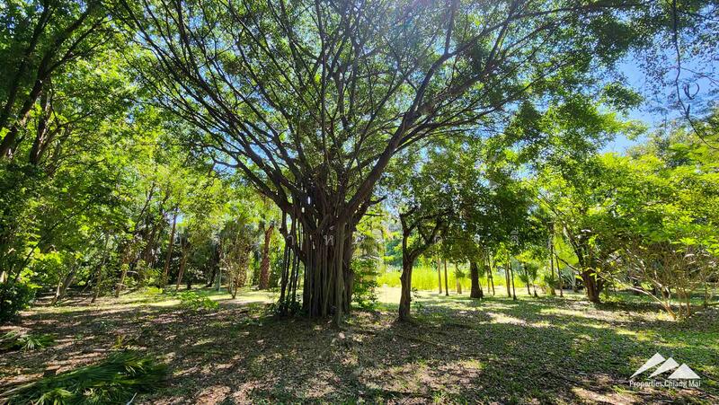 7.5 Rai Of Developed Land For Sale in Hang Dong, Chiang Mai