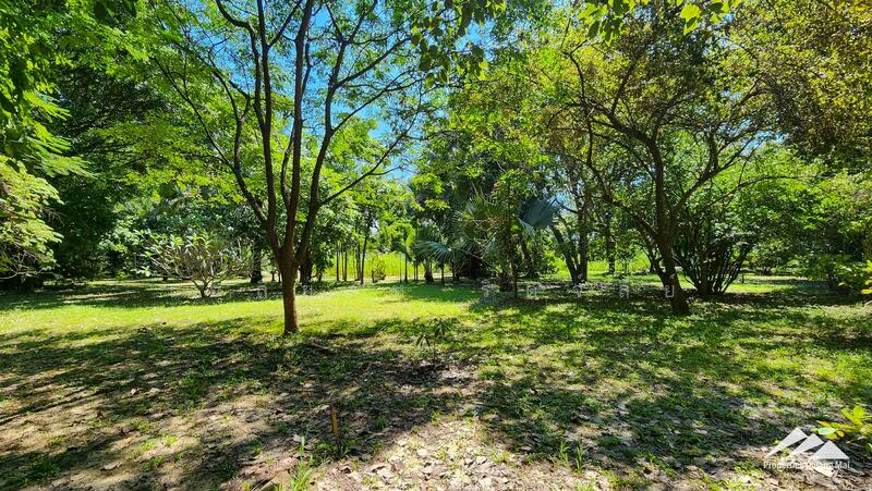 7.5 Rai Of Developed Land For Sale in Hang Dong, Chiang Mai