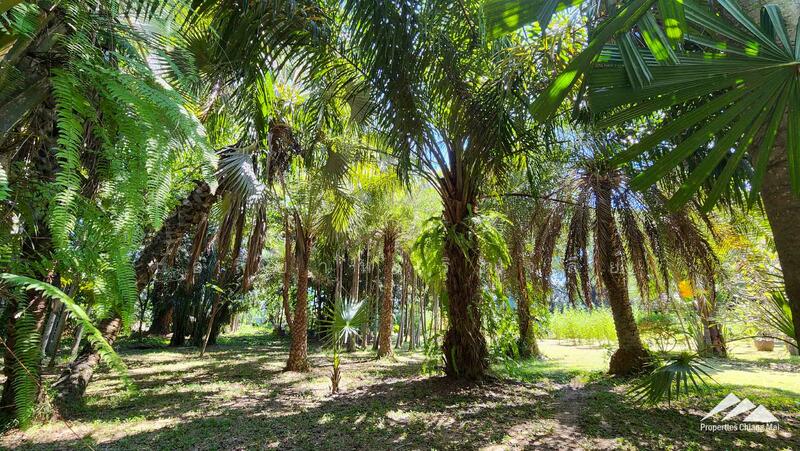 7.5 Rai Of Developed Land For Sale in Hang Dong, Chiang Mai