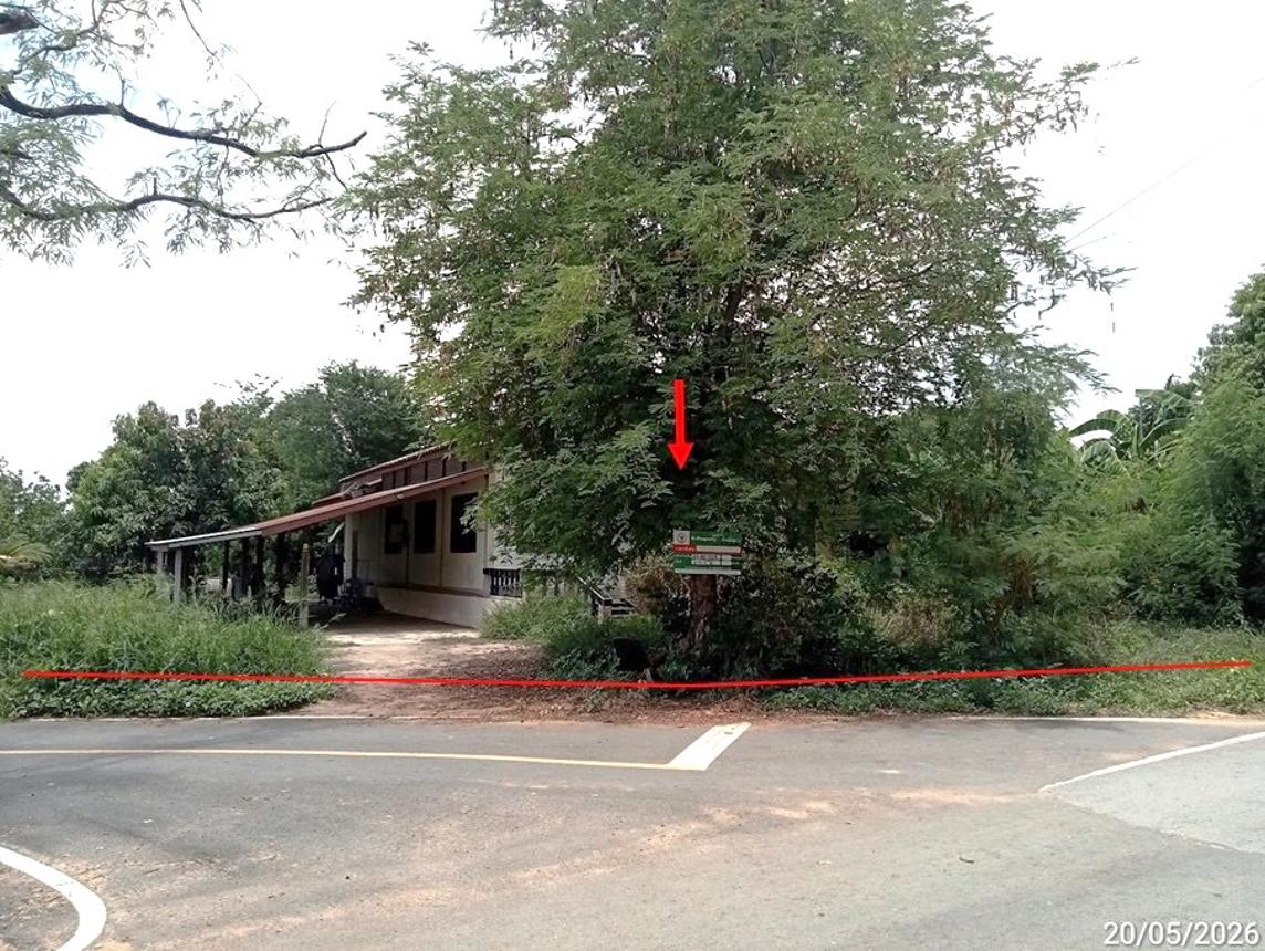 Single House in Chokchai, Nakhon Ratchasima