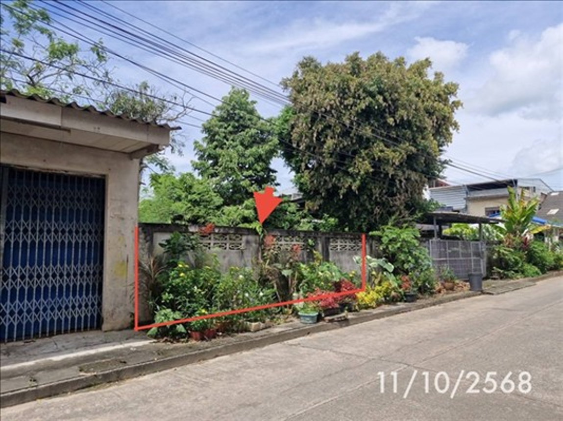 ที่ดินว่างเปล่า ฉวาง นครศรีธรรมราช