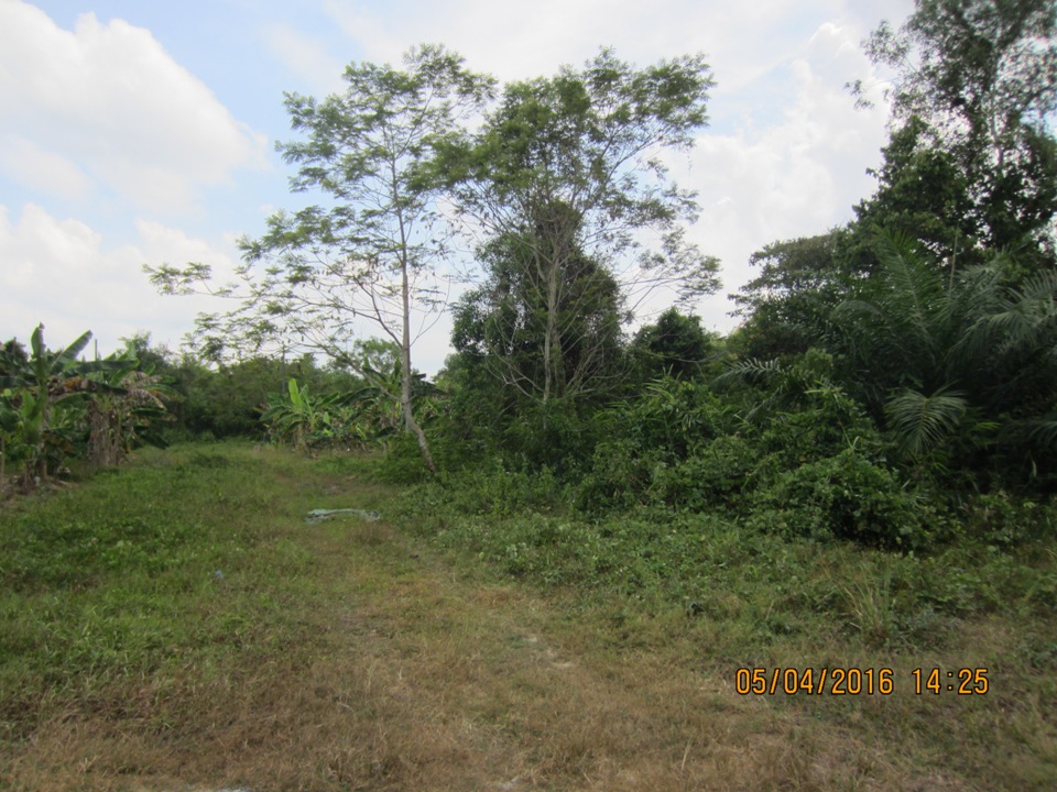 Vacant Land