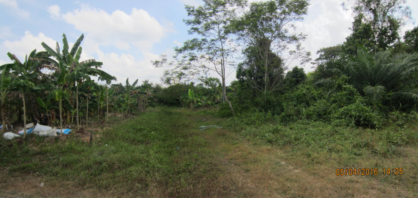 Vacant Land