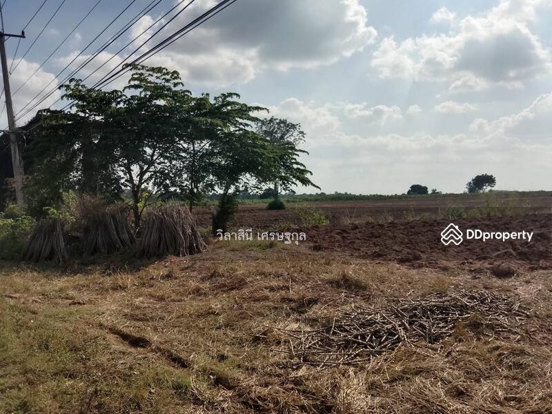 ที่ดิน 24 ไร่ จ.ชัยภูมิ ติดถนนใหญ่ 4 เลน กว้าง 20 เมตร, Chaiyaphum