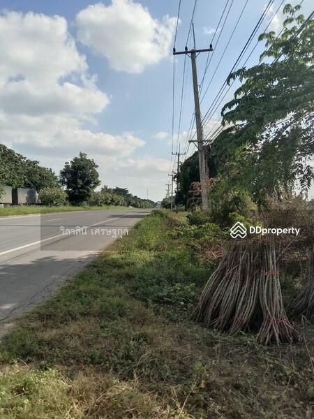 ที่ดิน 24 ไร่ จ.ชัยภูมิ ติดถนนใหญ่ 4 เลน กว้าง 20 เมตร, Chaiyaphum