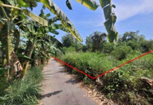 ที่ดินพร้อมสิ่งปลูกสร้าง บ้านโป่ง จังหวัดราชบุรี