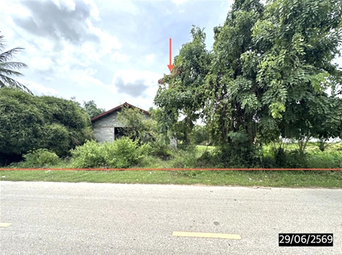 Single House in Phon Thong, Roi Et