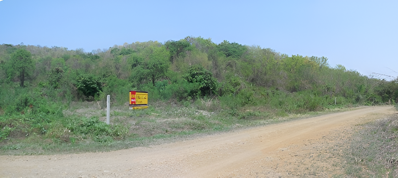 2 Plots of Vacant Land