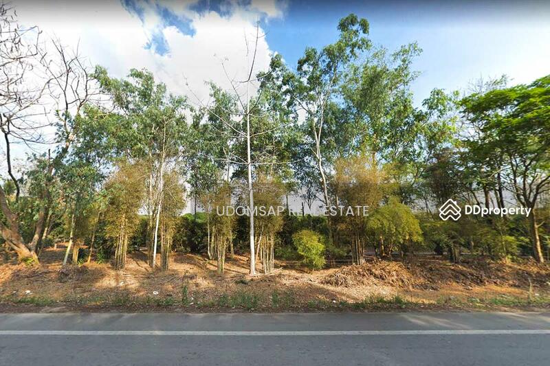 ขายที่ดิน 30 ไร่ ต.ทรายขาว สอยดาว จันทบุรี พร้อมสวนสักทอง ลำไย ลิ้นจี่, Chanthaburi