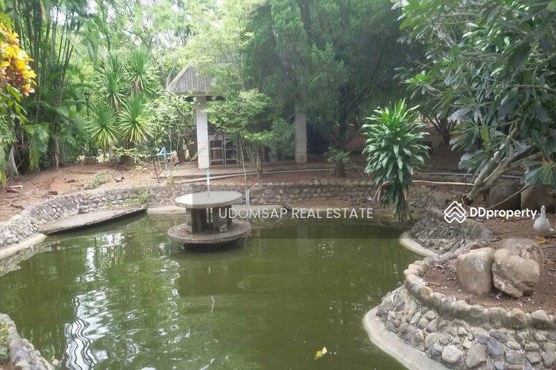 ขายที่ดิน 30 ไร่ ต.ทรายขาว สอยดาว จันทบุรี พร้อมสวนสักทอง ลำไย ลิ้นจี่, Chanthaburi