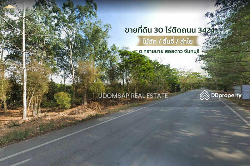 ขายที่ดิน 30 ไร่ ต.ทรายขาว สอยดาว จันทบุรี พร้อมสวนสักทอง ลำไย ลิ้นจี่, Chanthaburi