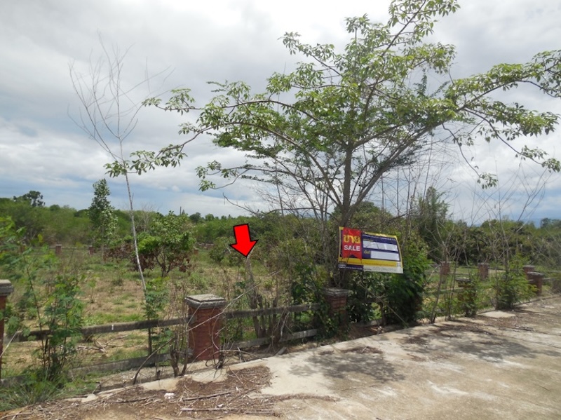 ที่ดินเปล่า โครงการบ้านสวนจงเจริญ เชียงใหม่