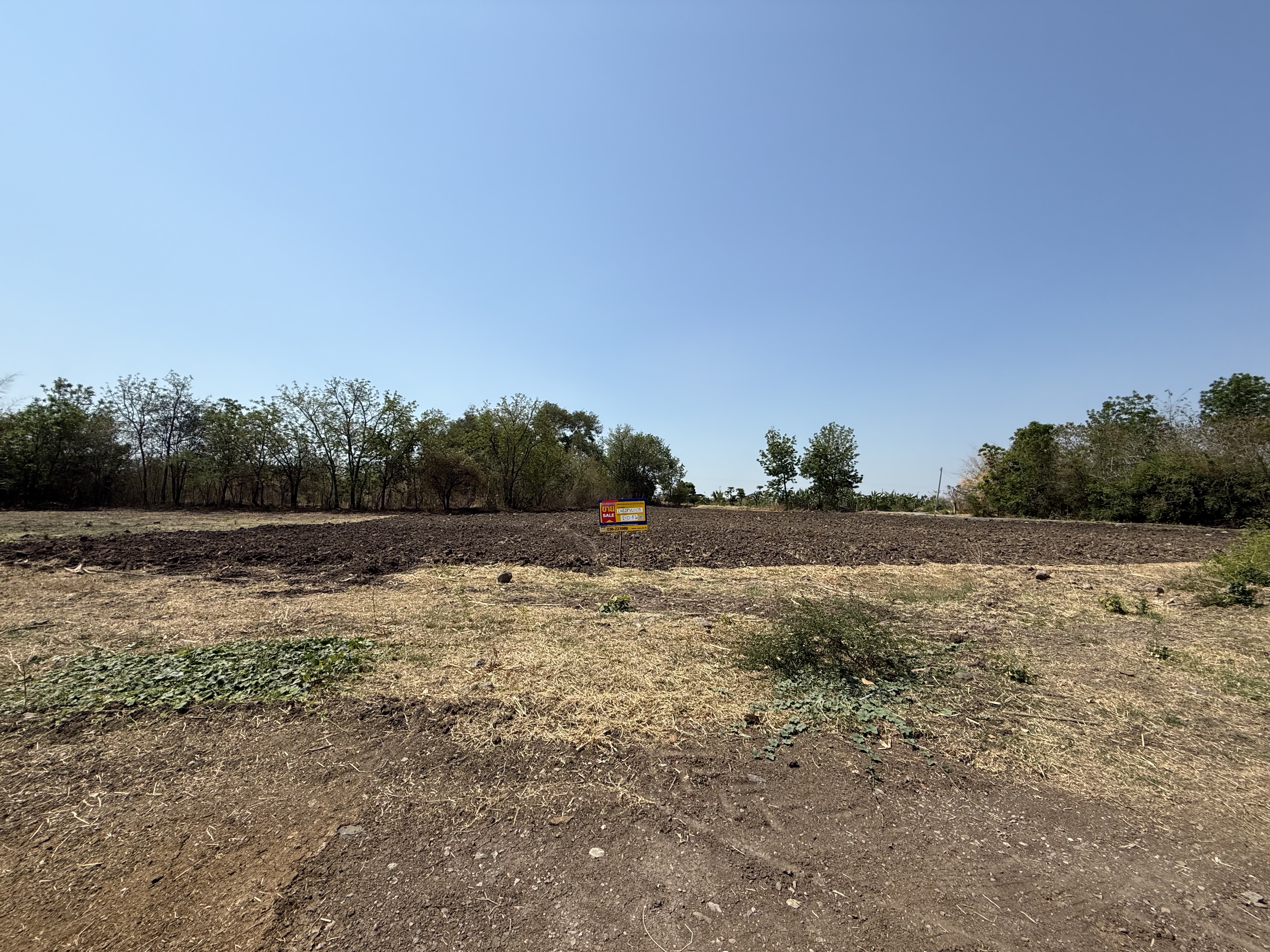 Empty land, Chai Badan New City project, Lopburi