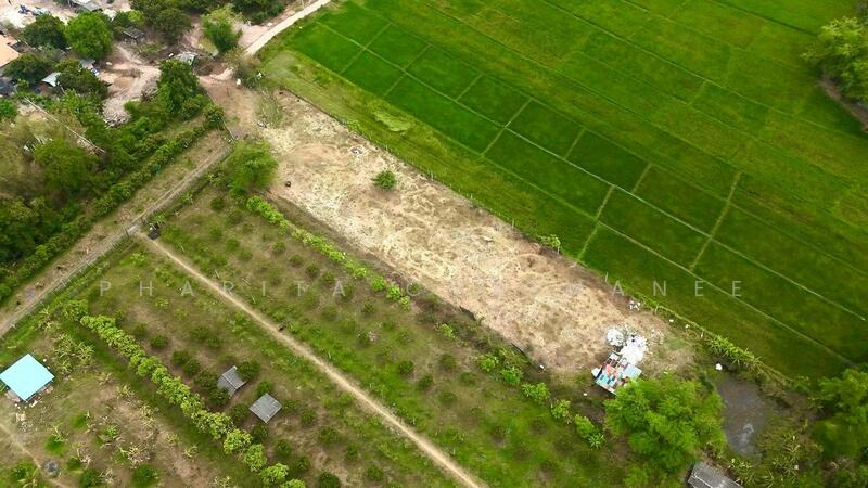 Land for sale , near sanpatong hospital 4 km., Chiang Mai