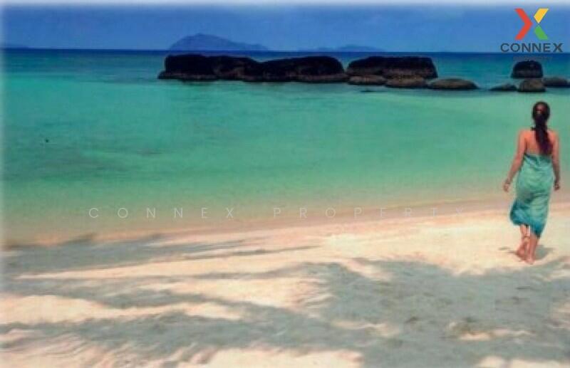ที่ดิน 10 ไร่ เกาะขาม Land 10 rai Koh Kham, Trat