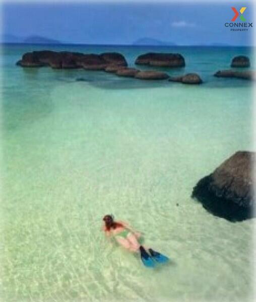ที่ดิน 10 ไร่ เกาะขาม Land 10 rai Koh Kham, Trat