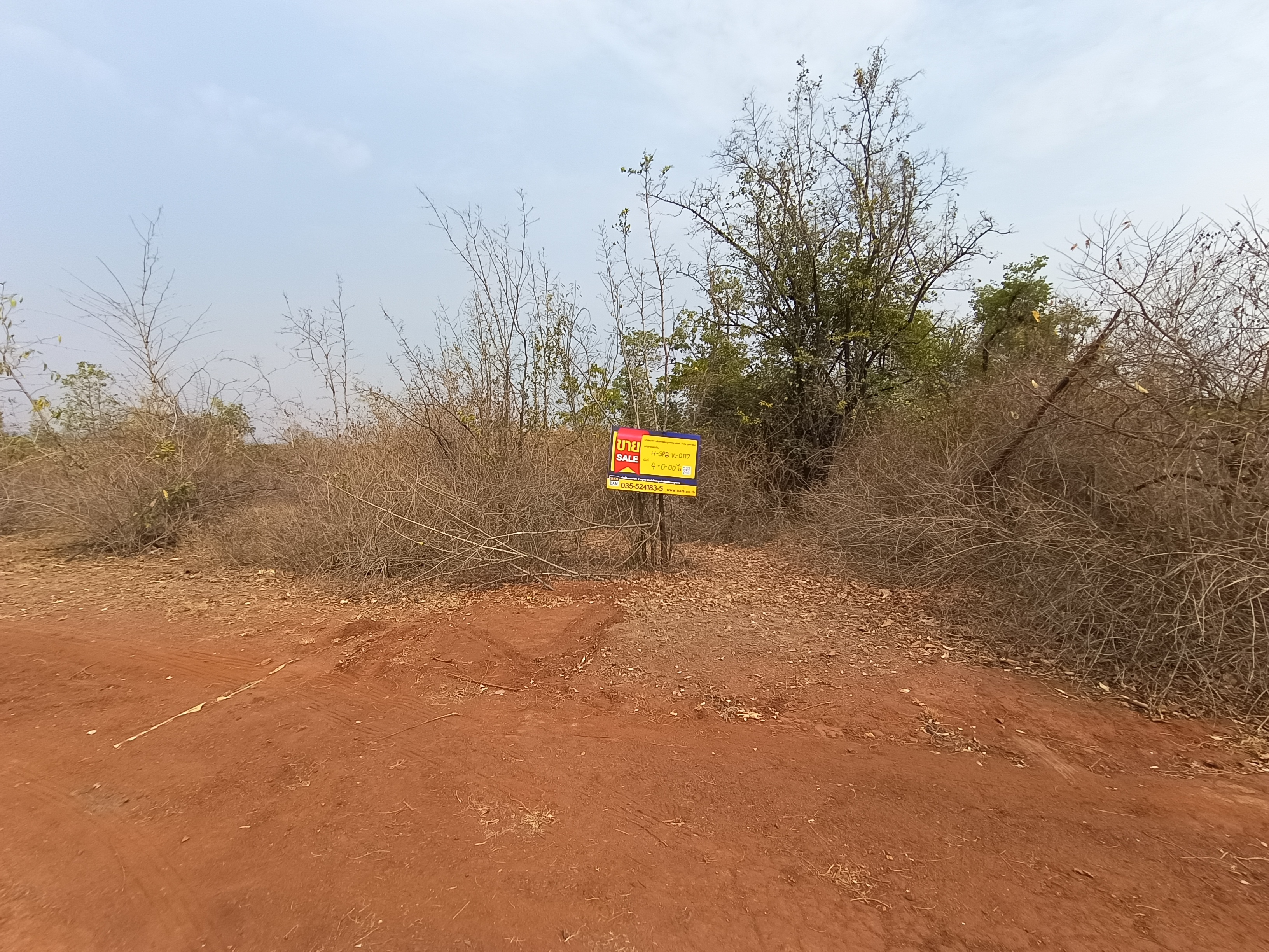 Empty land, Uthong Sak Ton project, Suphan Buri