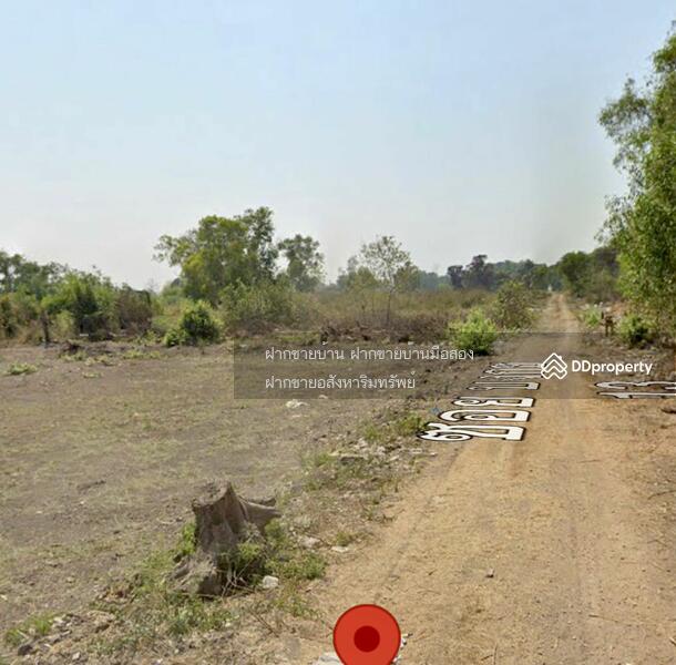 ขายที่ดิน 300 ตร.ว ซอยบงกช 13 ถนนคลองหลวง คลองสอง ใกล้ตลาดไท, Pathum Thani