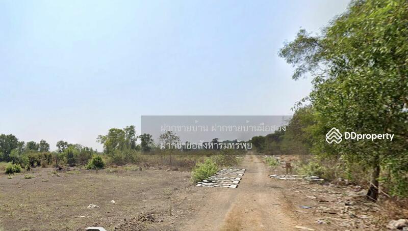 ขายที่ดิน 300 ตร.ว ซอยบงกช 13 ถนนคลองหลวง คลองสอง ใกล้ตลาดไท, Pathum Thani