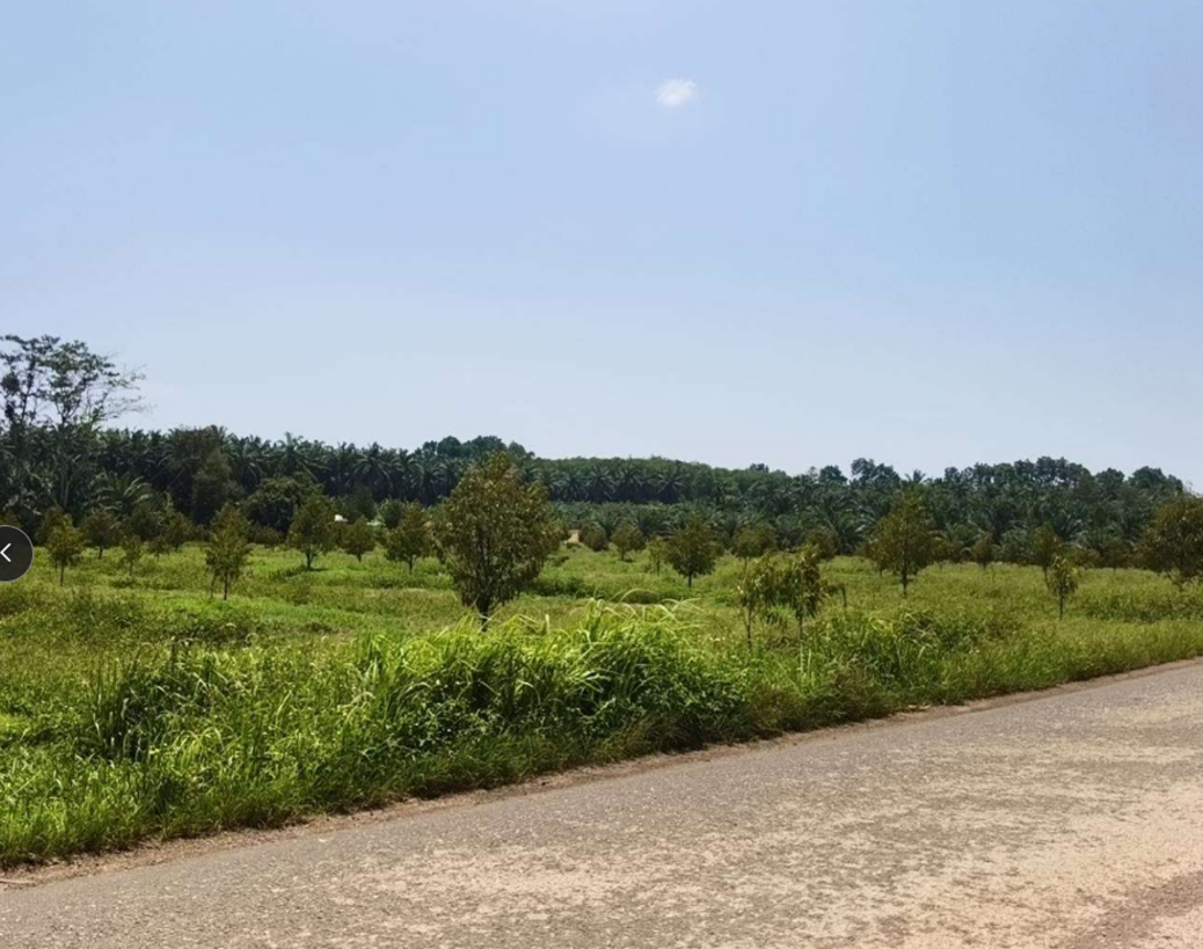 Vacant Land, Prasae, Surat Thani