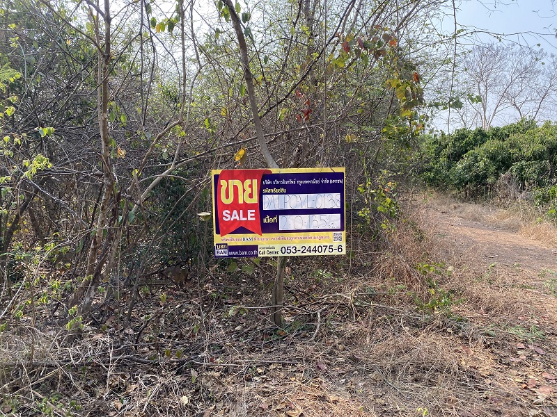 Empty land in Chedi Ngam Community Farm Project, Lamphun