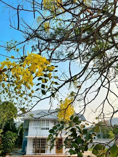 2-Storey Detached House Tha Makham Kanchanaburi บ้านเดี่ยว 2 ชั้นท่ามะขาม กาญจนบุรี, Kanchanaburi