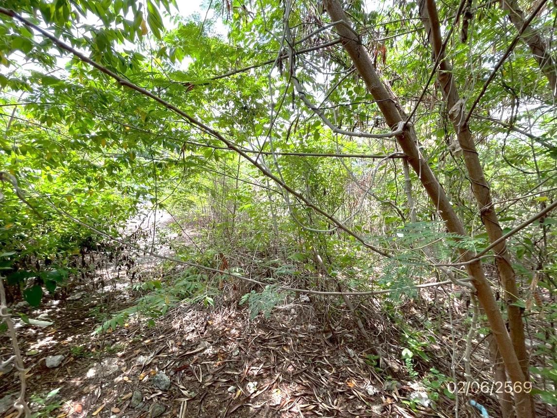 Vacant Land in Lad Krabang, Bangkok