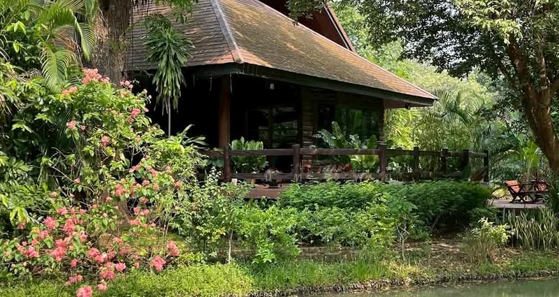 ชะอม, Saraburi