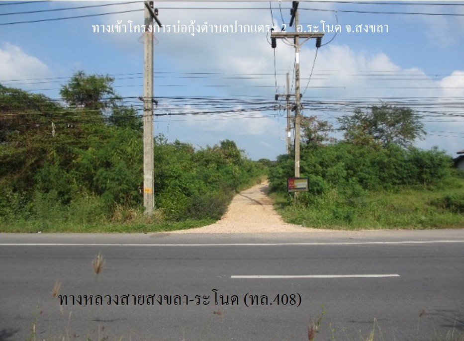 ที่ดินเปล่า โครงการวังทรายกลาง ตำบลปากแตระ 2 จังหวัดสงขลา