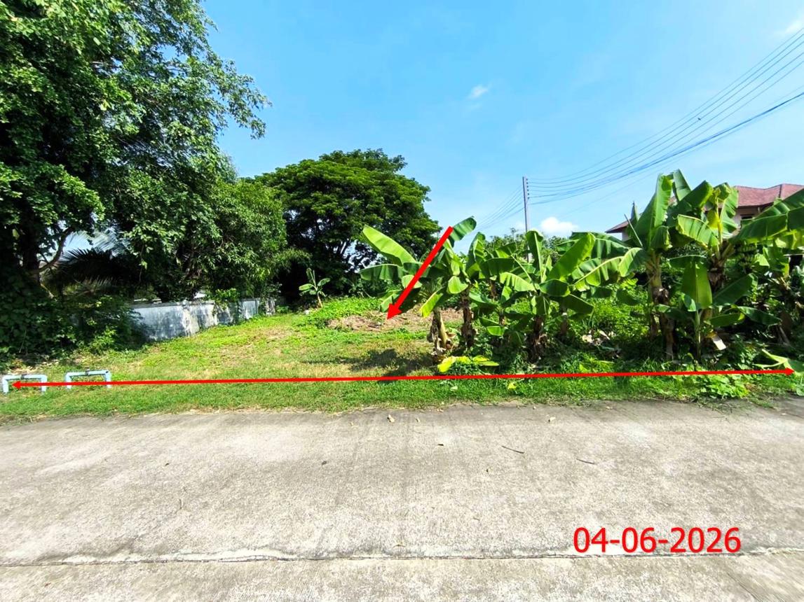Vacant Land, Pannaree, Lamphun City, Lamphun Province