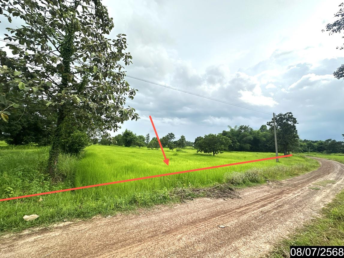 Vacant Land, Dech Udom, Ubon Ratchathani Province