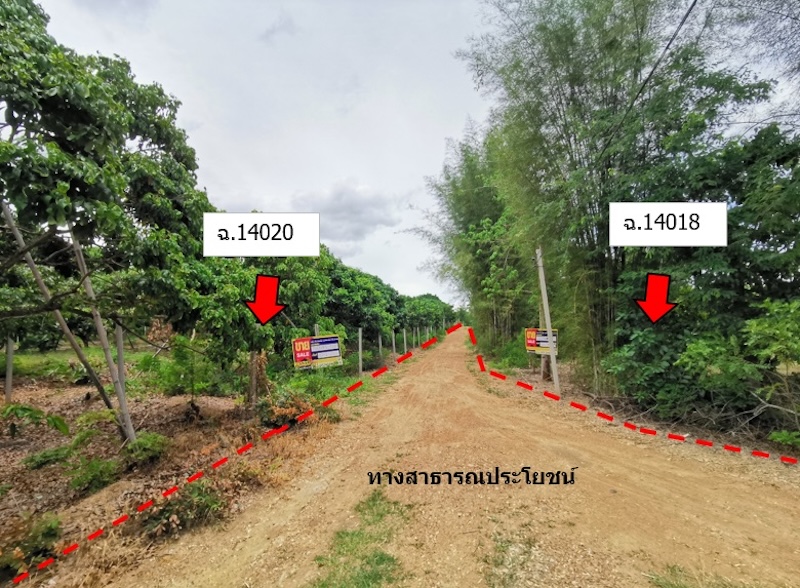 Empty land, Nong Hae House Project, Chiang Mai