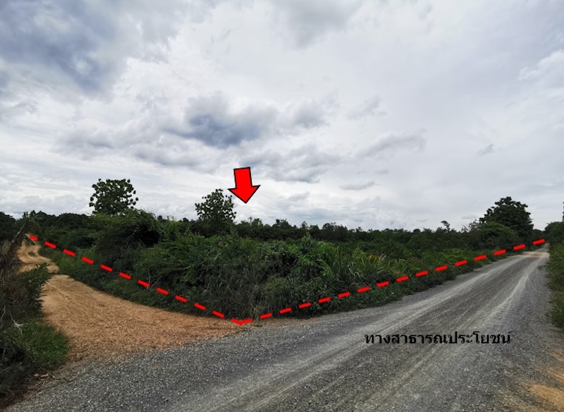 ที่ดินเปล่า โครงการบ้านหนองห่าย เชียงใหม่