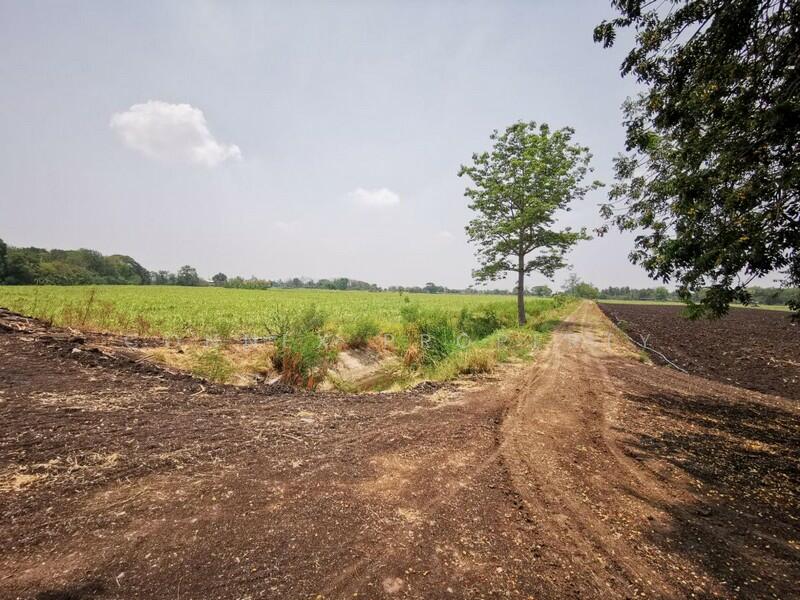 Large plot of land for sale in Khok Samrong, Lop Buri