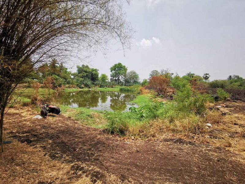 Large plot of land for sale in Khok Samrong, Lop Buri