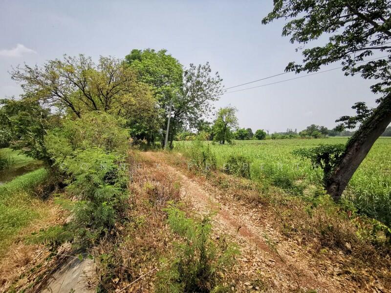 Large plot of land for sale in Khok Samrong, Lop Buri