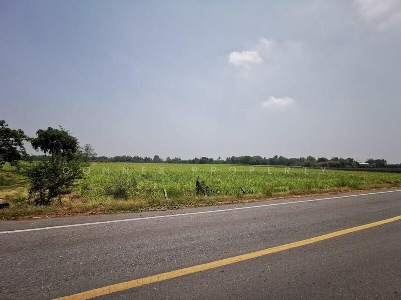 Large plot of land for sale in Khok Samrong, Lop Buri