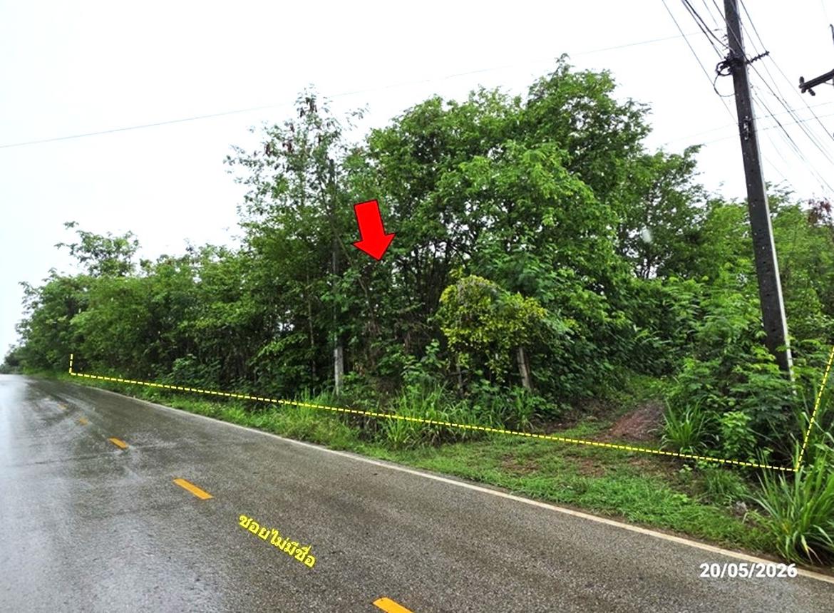 Empty land for sale in Lashi, Lai.