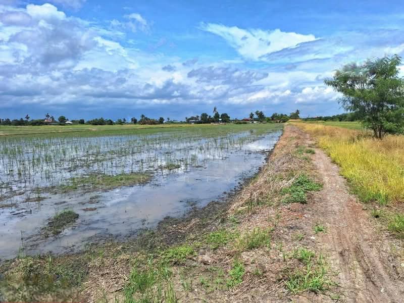 ที่ดินโคกโคเฒ่า สุพรรณบุรี, Suphan Buri