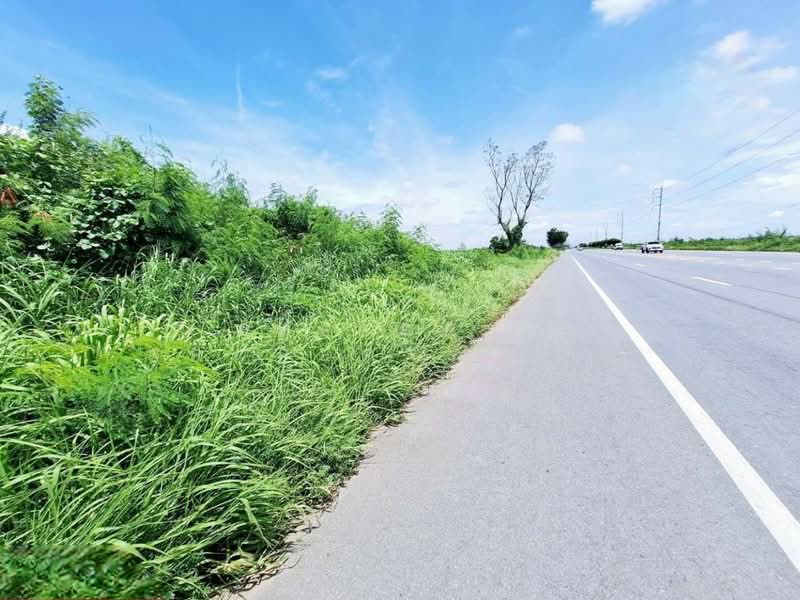 ที่ดินโคกโคเฒ่า สุพรรณบุรี, Suphan Buri