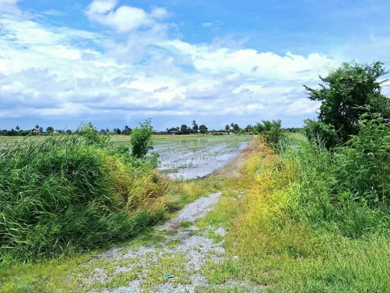 ที่ดินโคกโคเฒ่า สุพรรณบุรี, Suphan Buri