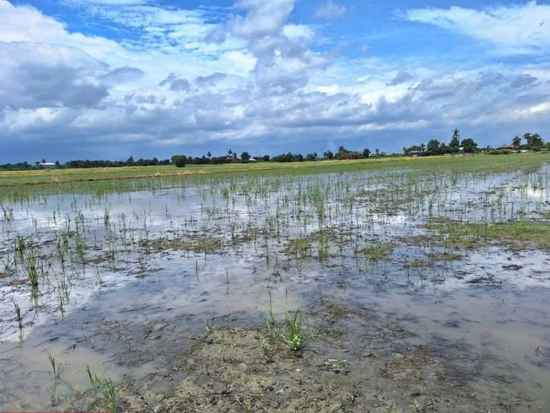 ที่ดินโคกโคเฒ่า สุพรรณบุรี, Suphan Buri