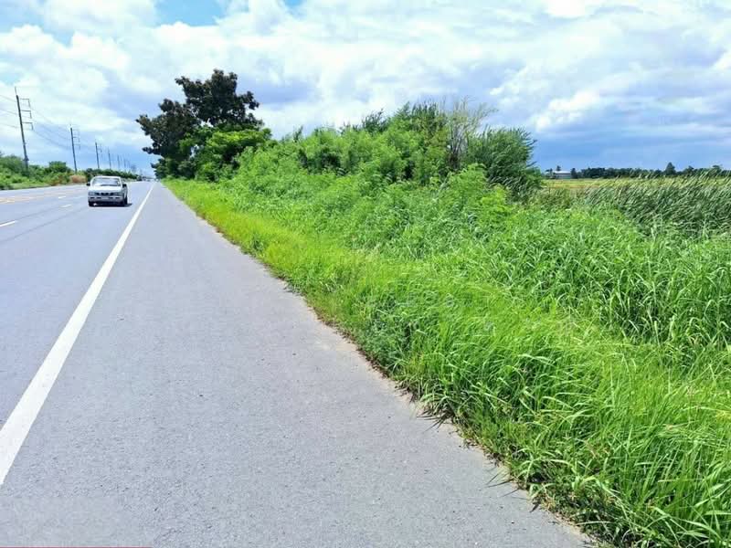 ที่ดินโคกโคเฒ่า สุพรรณบุรี, Suphan Buri