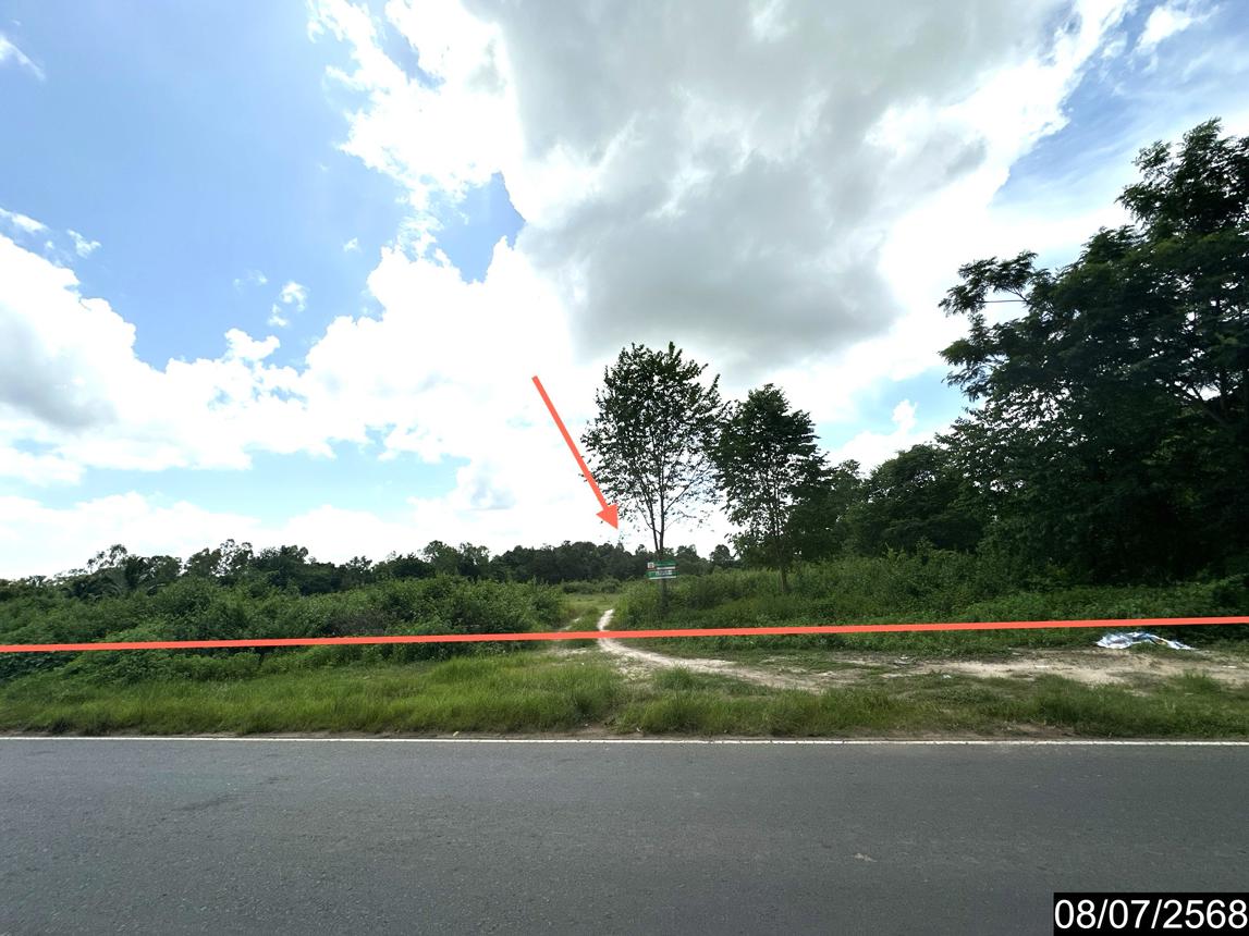 ที่ดินว่างเปล่า พร้อมพัฒนา นาจะหลวย อุบลราชธานี