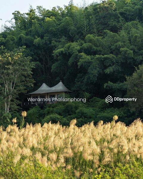 ขายที่ดิน เชียงใหม่ ติดแม่น้ำปิง อ.แม่ริม (เหมาะสร้างรีสอร์ท + ทำเกษตรกรรม + บ้านพักตากอากาศ) 25 ไร่, Chiang Mai
