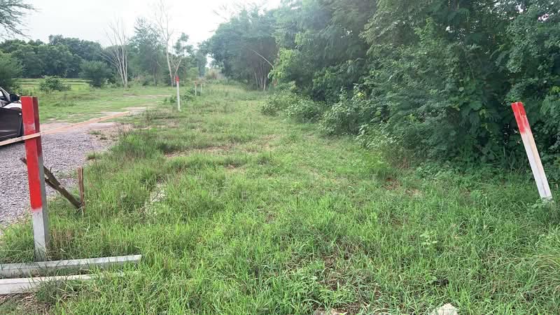 ที่ดินนาดี อุดรธานี, Udon Thani
